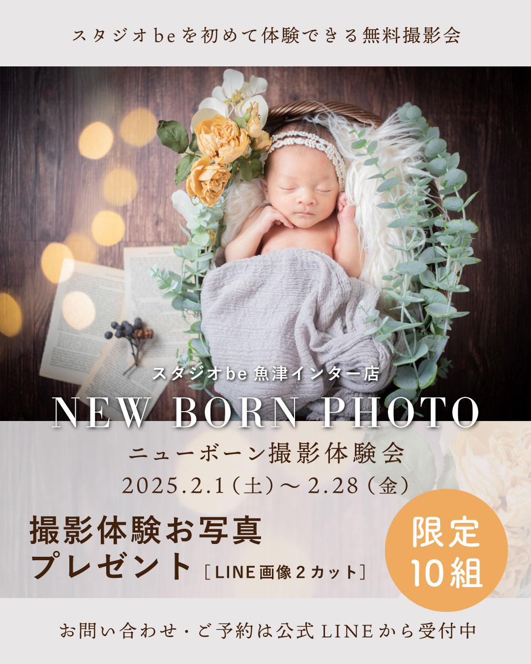 250125【魚津広告】ニューボーン